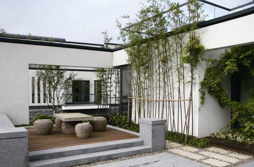 农村中式庭院 设计图片