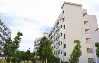 学生宿舍楼群设计图片
