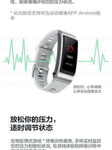 华为6手环照明功能介绍，华为6手环照明功能介绍，便捷照明，智能生活体验