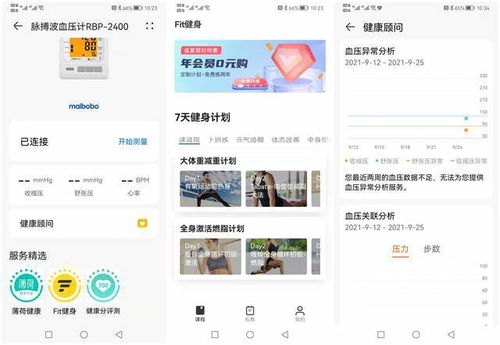 华为血压功能，健康管理的科技新篇章，华为血压功能，开启健康管理新篇章