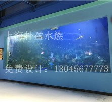 水族箱设计图片欣赏图