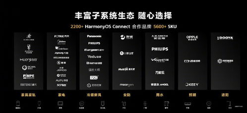 华为求签功能，解锁未来之路，华为求签功能，解锁未来之路