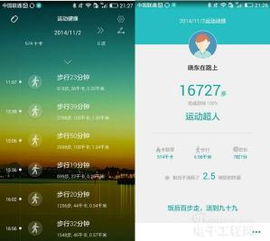 华为与小米手环功能对比，华为与小米手环功能对比，全面解析