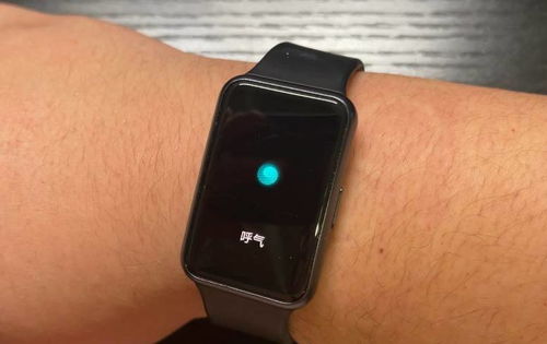 华为手表Fit 功能详解，华为手表Fit 功能全解析