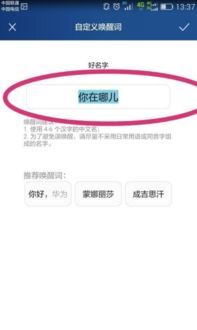 华为的语言功能，深度解析与实际应用
