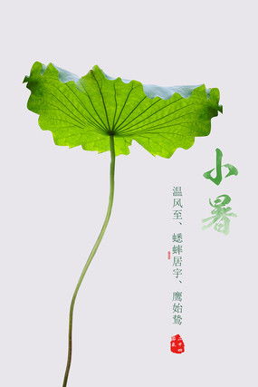 小暑设计图片