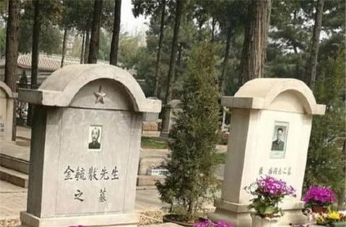 丹凤墓地设计图片