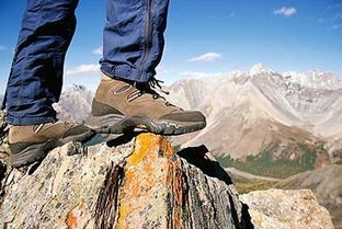户外登山设计图片