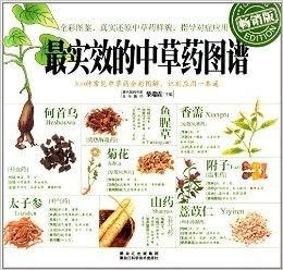 中药图谱设计图片