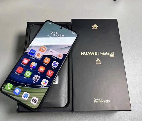 华为Mate 60测试功能详解，华为Mate 60功能测试详解