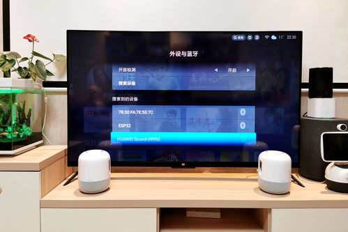 华为音响语音功能测试报告，华为音响语音功能测试报告，功能全面测试与优化