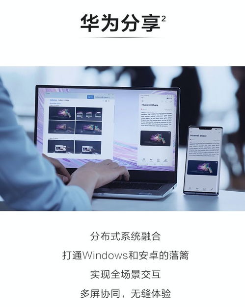 华为无线直连功能，无线连接的新篇章，华为无线直连功能引领无线连接新篇章