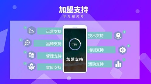 华为SDK功能开启，解锁新篇章，华为SDK功能盛大开启，开启全新篇章