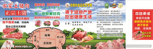 农家猪肉设计图片