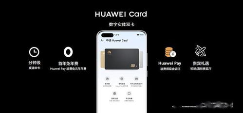 华为钱包功能类似软件介绍，华为钱包功能类似软件介绍，多场景便捷支付体验
