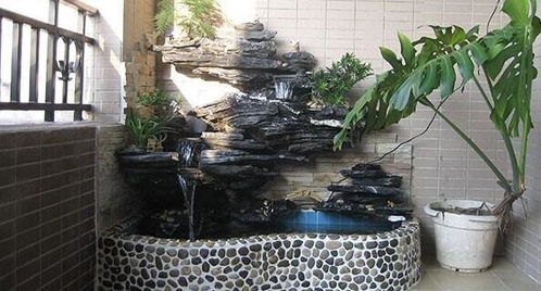 小鱼池设计图片