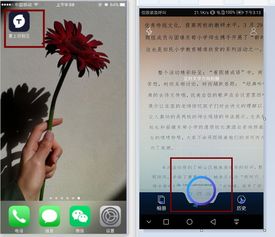 华为手机文件复制功能详解，华为手机文件复制功能介绍
