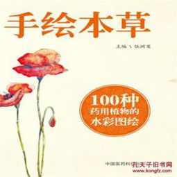 手绘本草设计图片