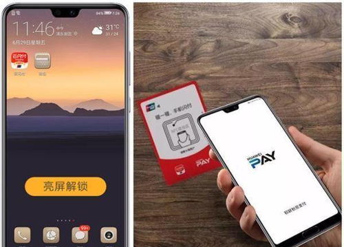 华为北极功能开启方法，华为北极功能开启方法介绍