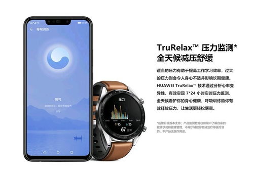 华为GT Cyber功能介绍，华为GT Cyber功能介绍，引领未来智能体验
