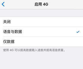 iPhone呼叫失败问题分析与解决方案，iPhone呼叫失败问题分析与解决方案大全