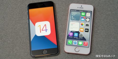 iPhone验机软件使用指南，高效验机，iPhone软件使用全攻略