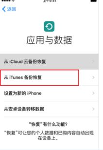 iPhone迁移，轻松实现数据无缝转移，iPhone数据迁移，一键操作，轻松转移