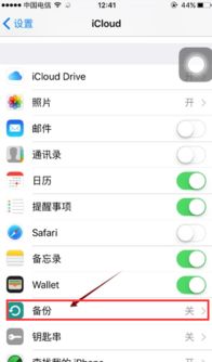 iPhone短信备份的重要性与步骤，iPhone短信备份的关键步骤与重要性解析