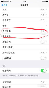 iPhone字体修改指南，如何修改iPhone上的字体