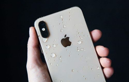 iPhone正在验证，科技新篇章，iPhone开启新篇章，引领科技革命