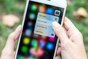 iPhone拍照黑屏问题及其解决方案，iPhone拍照黑屏问题解决方案