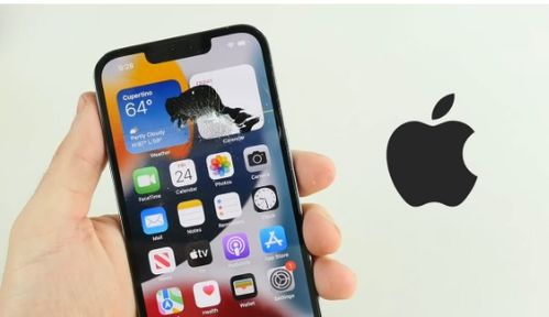 iPhone官网维修服务介绍，iPhone官网维修服务介绍，一站式便捷售后体验