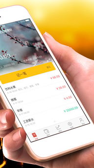 iPhone记账软件，便捷生活的新伙伴，iPhone记账软件，让生活更便捷的必备工具！