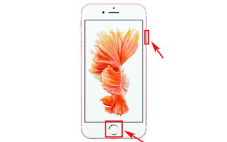 iPhone 7死机问题及其解决方案，iPhone 7死机问题解决方案