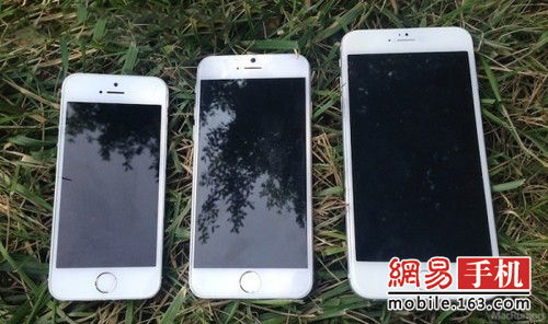 iPhone6预订，开启全新智能生活之旅，iPhone6预订，开启智能生活新篇章
