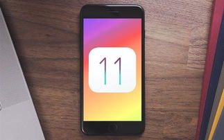 iPhone个性化，解锁你的专属体验，iPhone个性化体验，解锁你的专属生活新篇章