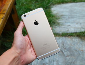 苹果手机显示iPhone已停用怎么办？，苹果手机显示iPhone已停用解决方法
