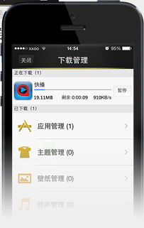 91手机助手iPhone版官方下载指南，九一手机助手iPhone版官方下载指南