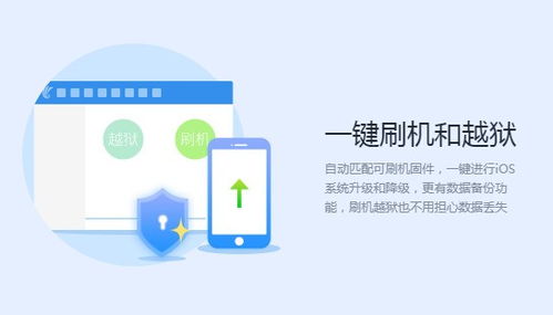 91同步助手iPhone版使用与涉黄问题，91同步助手iPhone版使用指南，远离涉黄风险，安全高效操作手机软件！