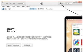 iPhone足迹查看方法，iPhone足迹查看方法介绍