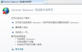 iPhone IE内核浏览器，深度解析，iPhone IE内核浏览器深度解析，技术原理与应用场景