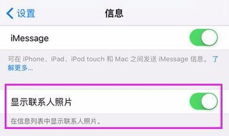 iPhone忽略联系人作用与影响，iPhone联系人管理新功能，忽略与作用影响分析