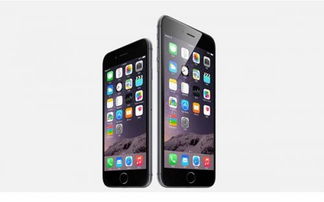 iPhone6拍照技巧集锦，iPhone6拍照技巧大全，摄影进阶指南