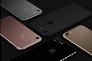 iPhone7对光拍照有亮点，iPhone7拍照技术亮点介绍