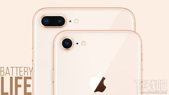 iPhone 8噪音问题及其解决方案，iPhone 8噪音问题解决方案