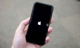 为啥iPhone总自动关机？，iPhone自动关机原因探究