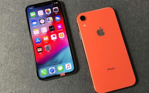低价版iPhone，性价比之选，超值iPhone，性价比之王！