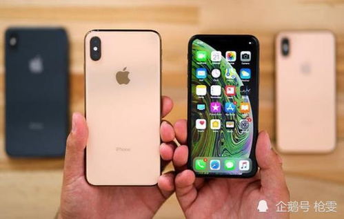 iPhone狗，探索苹果手机的魅力与乐趣，解锁iPhone的无限魅力，探索其乐趣与体验