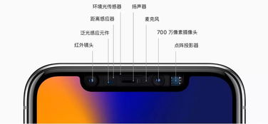 iPhone 网络设置指南，iPhone 网络设置快速指南
