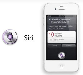 iPhone照片导出指南，iPhone照片高效导出秘籍